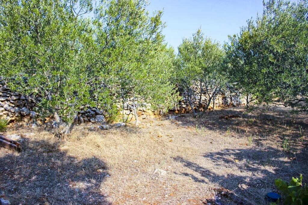 Kuca Za Odmor Obitelji Pedisic Vila Banj Exterior foto